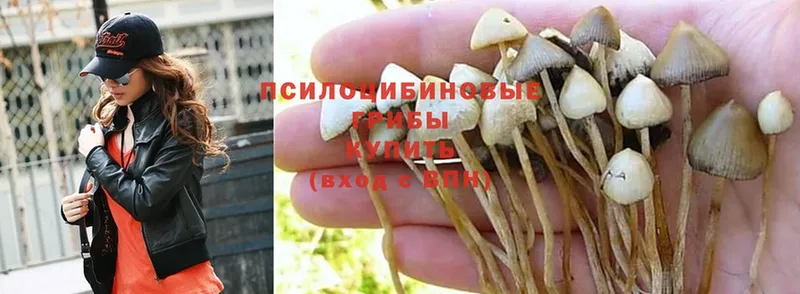 гидра как войти  Баймак  Псилоцибиновые грибы Magic Shrooms  магазин  наркотиков 